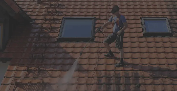 Soft-washing algae and stains from a tile roof